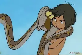 3米长眼镜王蛇现身山东郯城！号称“万蛇之王”，根本不怕雄黄图片