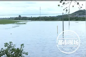 集中强降雨！上饶鄱阳部分乡村水稻被淹，邻乡协助开闸放水图片