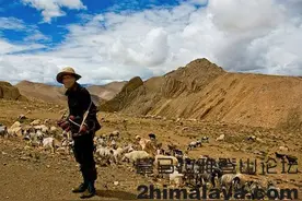 「西藏自治区」中国藏族族群继承了灭绝人种的高海拔生存基因图片