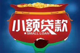 【以案释法】小额贷款公司属于金融机构吗？利息如何确定？图片