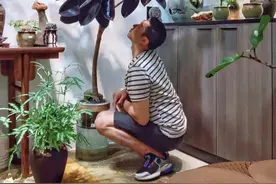 2－3月养橡皮树，牢记3个字，满头“冒新芽”图片