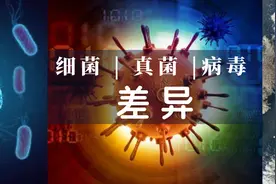 细菌，真菌，病毒——感染，免疫反应以及治疗用药差异图片