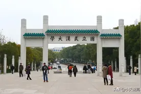 当头棒喝，武大顶尖学科5名老师被集体挖走，学校或应直面应对图片