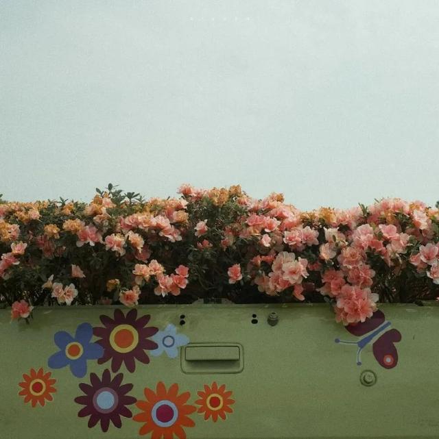 15������Ȧ�����������İ�