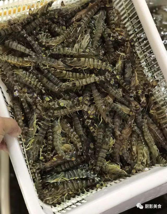 花胶选几级的 花胶等级顺序鱼胶排名大全