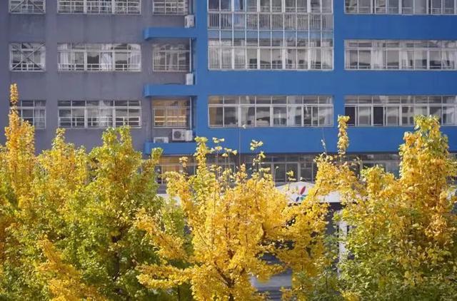 除了“五朵金花”，成都各个区还有哪些公办小学值得考察