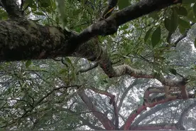 推文《医得我心》完结短篇小说图片