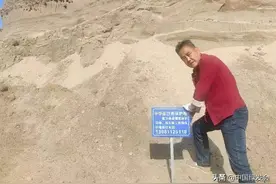 政府与志愿者积极行动，石家庄崖沙燕保护成效显著｜绿会保护地图片