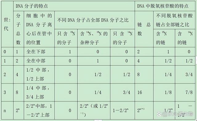 高中生物-基因的本质与表达