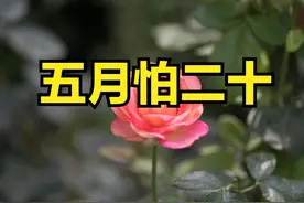老话说“五月怕二十”，明日五月二十，到底怕啥？看看老人怎么说图片