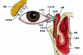 每天眼泪汪汪、眼屎不断，这糟心的日子终于结束了图片