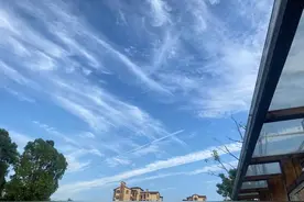 六月中，喜鹊报喜，红鸾星动，四星座喜遇良缘，牵手相伴幸福一生图片