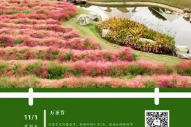 超1.3万名！四川省省考今起报名｜早安，新眉图片