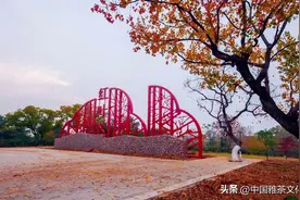 红尘处处有花开，人间自有真情在图片