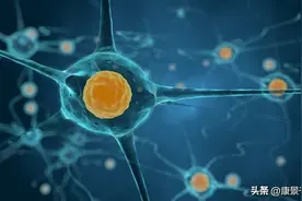 干细胞的五大作用图片