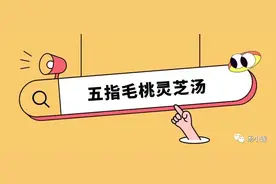 五指毛桃灵芝汤~图片