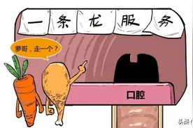 疯狂的消化之旅：食物被吃进去后，会在你身体里干啥？图片
