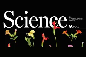 最新！华人学者连发4篇Science图片