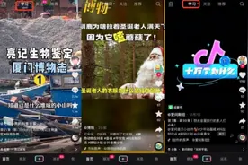 抖音上线学习频道，但短视频真的适合学知识吗？图片