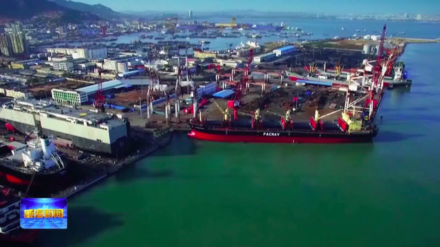 金枪鱼海参胶原蛋白肽 2026年金枪鱼海参胶原蛋白肽固体饮料