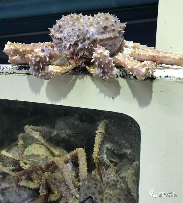 花胶选几级的 花胶等级顺序鱼胶排名大全