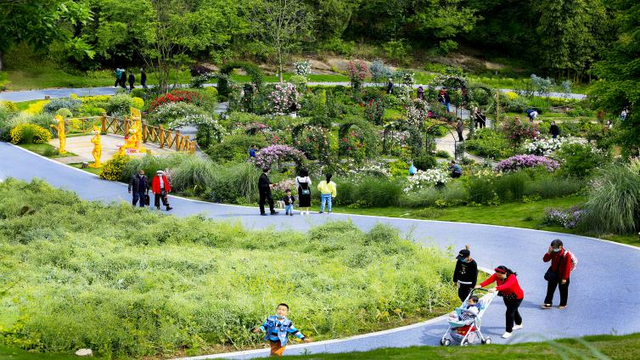 四川省民生研究会新媒体中心-官网