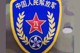 退役徽章欣赏（97式帽徽、领花、胸标）图片