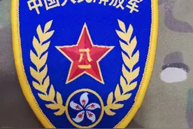 退役徽章欣赏（97式帽徽、领花、胸标）图片