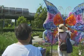 近20000㎡巨型蝴蝶降落闵行！首届“PLUS花园艺术展”亮相图片