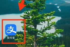 怎样开启支付宝花呗还款为“按账单最低还款额还款”图片