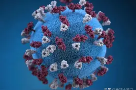 人类历史上最可怕的十种病毒图片