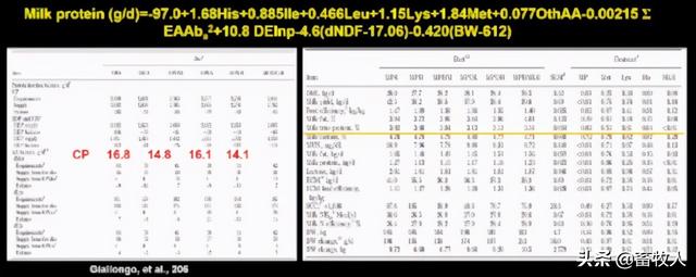「学习笔记」卜登攀研究员：过瘤胃氨基酸生物利用率评价与利用