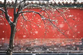 “中国最美的30个地方”名单出炉！宛如人间仙境，有你的家乡吗？图片