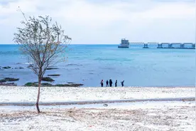 中国医科大学、大连医科大学、锦州医科大学：毕业生都去哪了？图片