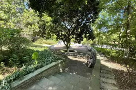 当年真野，34年前儿歌神曲《种太阳》，现在还有人敢唱吗？图片