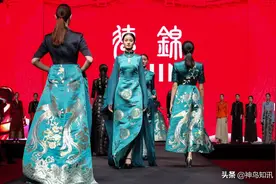 奋进的成都正幸福 |“成姆斯特丹”炼成记图片