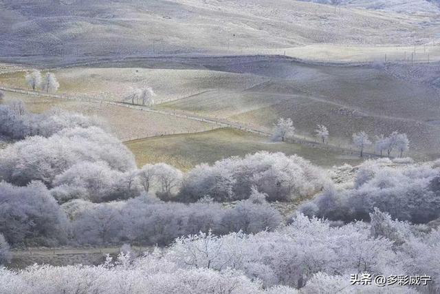 贵州威宁：雾凇覆高原 仙境入画来