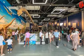 重庆新开一座博物馆，展出亚洲最大恐龙，比成都借走不还的长4米图片