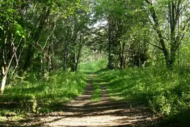 人过了60岁，需要远离这3种熟人，走得太近没好处图片