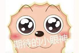可爱表情包 | 期待的小眼神图片