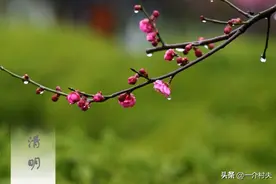 清明将至，农村俗语“扫墓不过三代，上坟不过未时”，啥意思？图片