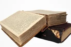 苟杳=狗咬吗？图片