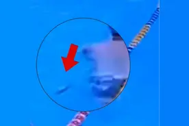 广东男子游泳池大便，边游边拉，后面紧跟一男子，监控拍下一切！图片