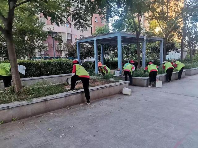 东湖新技术开辟区豹澥街分类专班黄金堂社区开展清洁家园活动