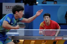 理性看输赢，一场输球并不能撼动樊振东的领军地位图片