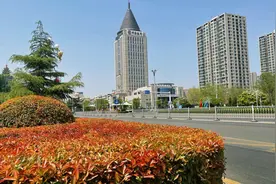 确定了！济宁轨道交通计划受阻，快速路及市域铁路成为新宠图片