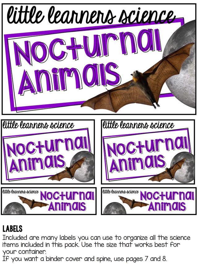 С��ѧ��̽��ϵ��֮ҹ�ж������׻�زİ�