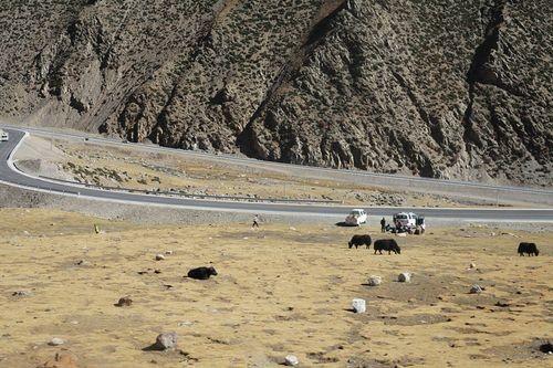 西藏500公里无人区有多恐怖?为什么很多人进去就回不来了?