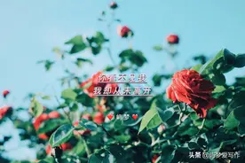 《你好，世界》：“相爱，不过是一场相互救赎。”图片