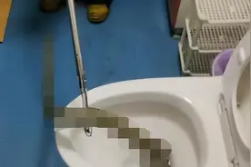 蛇真能从下水道游到马桶里？江苏女子如厕钻出长蛇，冲都冲不下去图片